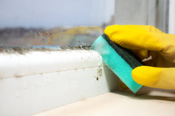 Best Mold Testing  in Monongahela, PA