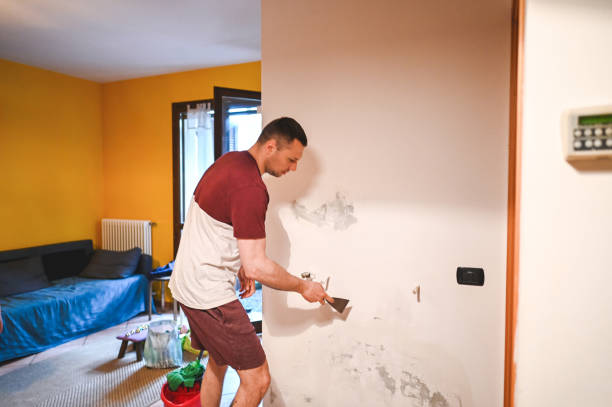 Best Crawl Space Mold Removal  in Monongahela, PA
